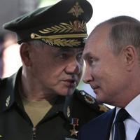 Putin removes defense minister Shoigu - World News