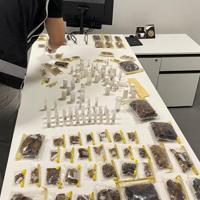 US museum head caught smuggling endemic species – Türkiye News