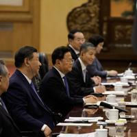 China's Xi calls for Middle East peace conference - World News