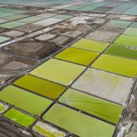 Giant lithium partnership created in Chile - Latest News