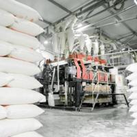 Türkiye eyes .5 bln in flour exports – Latest News