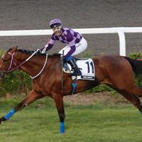 Excitement builds for 98th Gazi Race as horse-racing goes digital – Türkiye News