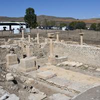 World archaeologists visit Satala