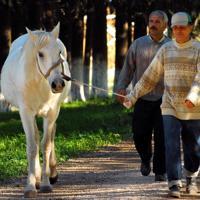 Horse breeding, racing draw investors’ interest – Turkish News