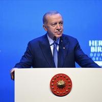 Erdoan urges Muslim countries to sanction Israel