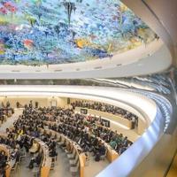Saudi Arabia fails in bid to join UN human rights council - World News