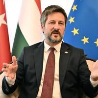 Hungary seeks to expand energy cooperation with Türkiye: Envoy - Latest News