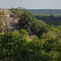 Lost Mayan City Discovered In Mexican Jungle