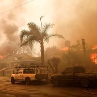 Hollywood ablaze as fires rage around Los Angeles - World News