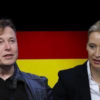 Musk promotes German far-right leader in latest European intervention – World News