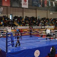Türkiye to form 1st national savate team – Türkiye News