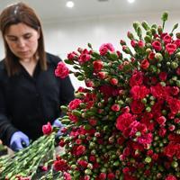 Mother’s Day e-commerce sales in Türkiye expected to exceed 10 billion liras – Türkiye News