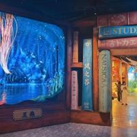 Japan's Oscar-winning anime house Studio Ghibli turns 40