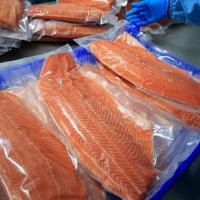 Salmon export reaches $217 million in first half of 2025