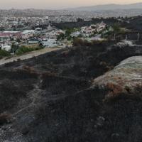 Wildfires sweep western Türkiye, destroying land and homes