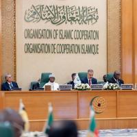 FM says Gaza crisis ‘at point where words fail’