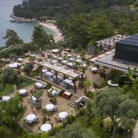 Dine, Design, Data: The New Grammar of Gastronomic Luxury