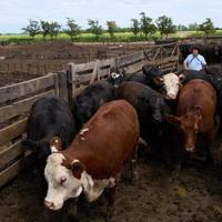 Beef and bananas: US unveils Latin America trade deals