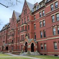 Funding cuts in US spark talks of ‘reverse brain drain’ among Turkish academics