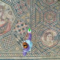 Mosaic with rich depictions unearthed in İznik