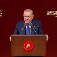 Lack of pressure encourages Israel’s massacres on Palestinians: Erdoğan