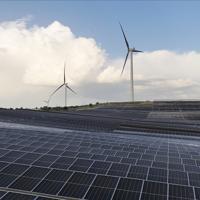 Türkiye targets 120,000 MW in wind and solar by 2035: Minister