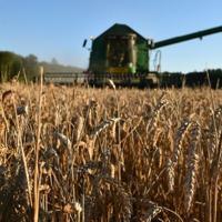 EU reaches accord on new generation of GM crops