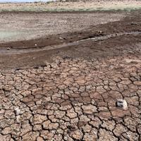 Türkiye loses 1 centimeter of soil every 16 years, expert warns