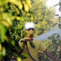 Türkiye bans online, over-the-counter pesticide sales