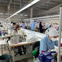 Apparel industry pins hopes on 2026 for export rebound