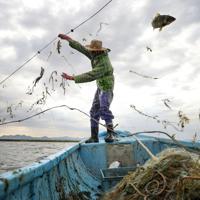 Türkiye expands fishing operations into Somali waters