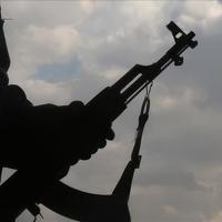 Syria says ISIL leader captured in Damascus countryside