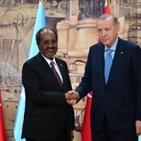 Israel's decision to recognize Somaliland illegitimate, unacceptable: Erdoğan