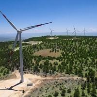 Energy efficiency investments reach $3.5 billion: Association