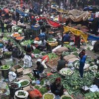 Global food prices up 4.3 pct in 2025, says FAO