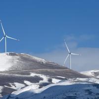 Türkiye delivers strongest wind energy performance in 15 Years