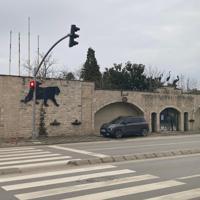 Türkiye’s prominent zoo closes after 33 years of operation