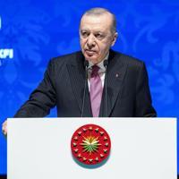 Erdoğan calls for national unity to protect family values