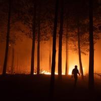 Entire towns wiped out in Chile wildfires