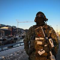 EU top diplomat urges 'more European' NATO