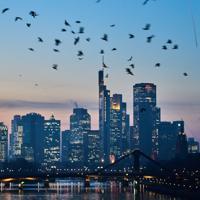 Germany cuts 2026 growth forecast to one percent