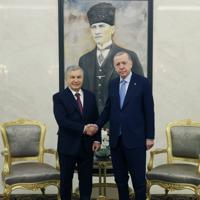 Turkic world will leave its mark on this century: Erdoğan