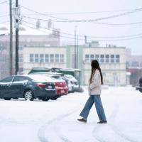 Snowstorm disrupts travel in southern US