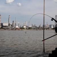 Thailand economic growth slows year-on-year: gov’t data