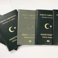 Bill proposes visa relief for dentists, veterinarians, architects