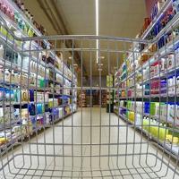 Sectoral confidence indices show mixed trends in February