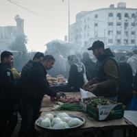 Gaza board explores coin plan for Gaza post-war economy