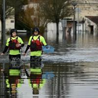 Disinformation new enemy in disaster zones: Red Cross