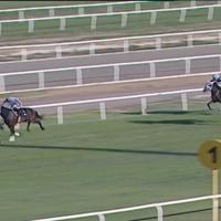 Owner fined after racehorse meat served at Turkish soup kitchen - Türkiye News