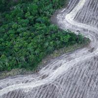 Brazil's new climate plan targets deforestation